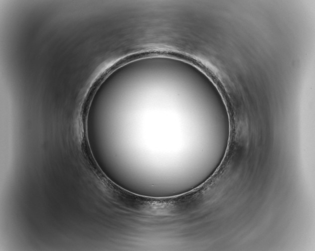 X0000096721271200802051435