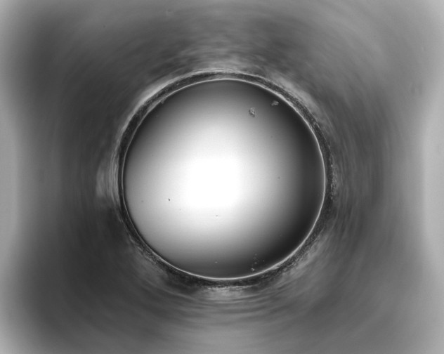 X0000096721272200802051435