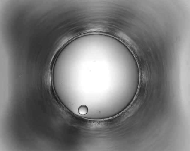 X0000096721274200802051435