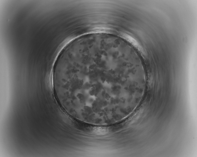 X0000096721275200802051435