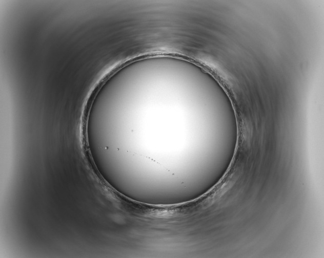 X0000096721278200802051435