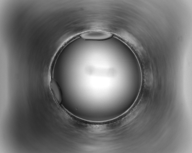 X0000096721280200802051435