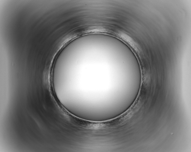 X0000096721282200802051435