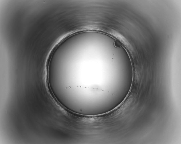 X0000096721286200802051435