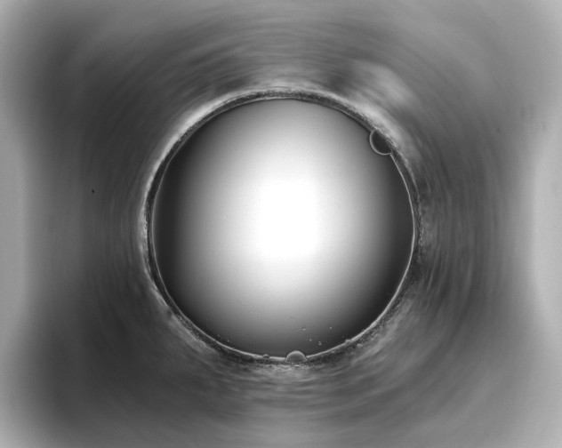 X0000096721287200802051435