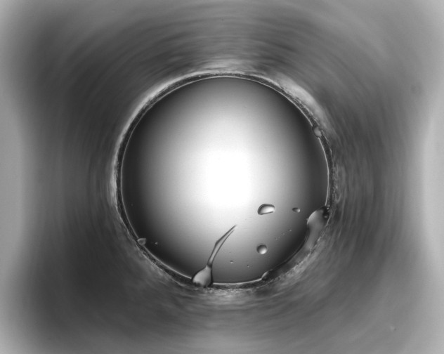 X0000096721288200802051435