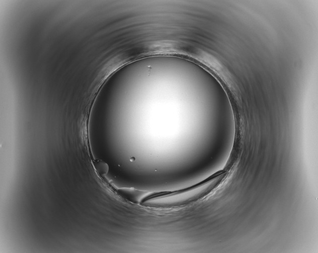 X0000096721289200802051435