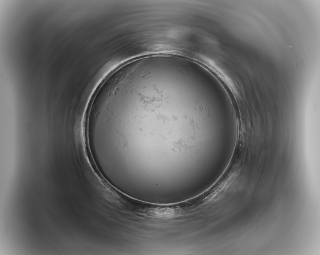 X0000096721291200802051435