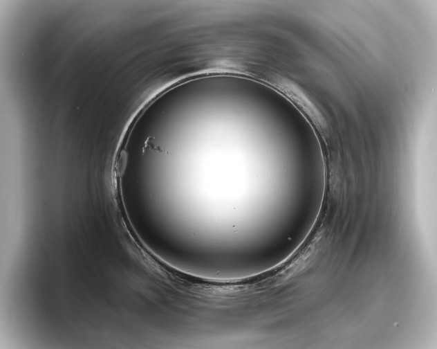 X0000096721292200802051435