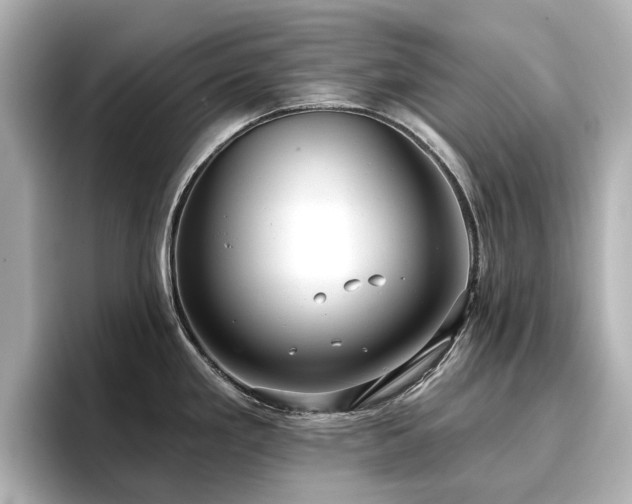 X0000096721293200802051435