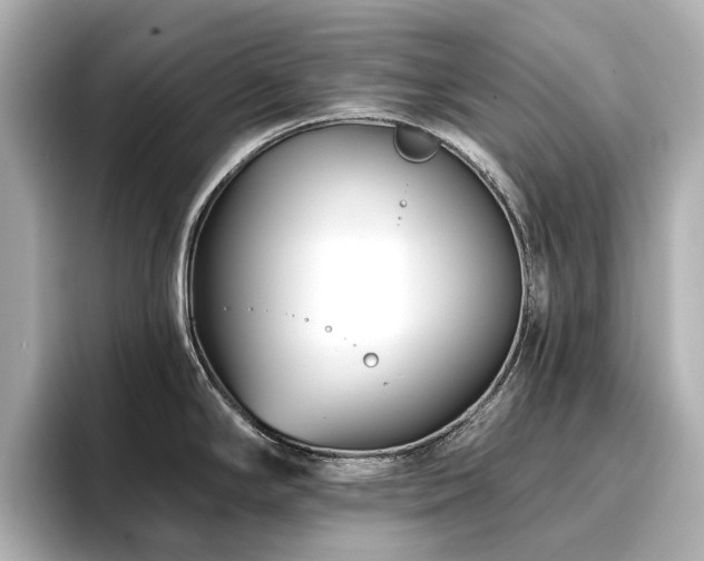 X0000096721294200802051435