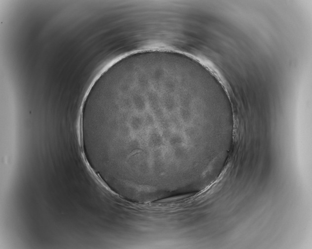 X0000096721295200802051435