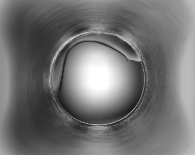 X0000096721296200802051435