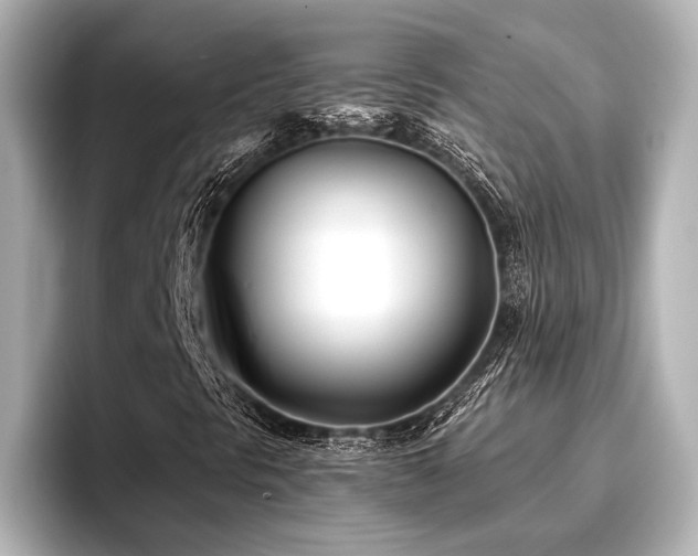 X0000096721297200802051434