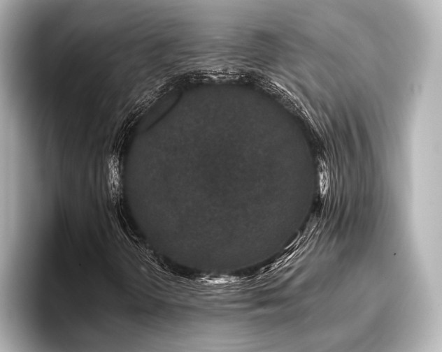 X0000096721298200802051434