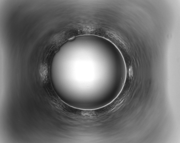 X0000096721299200802051434