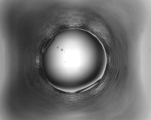 X0000096721300200802051434