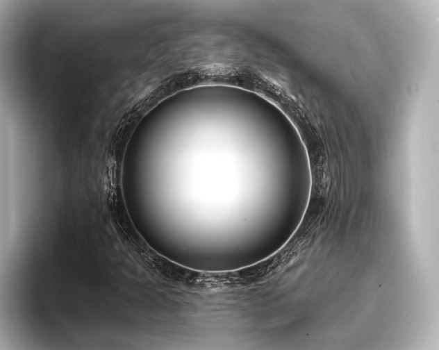 X0000096721301200802051434