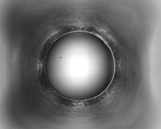 X0000096721302200802051434