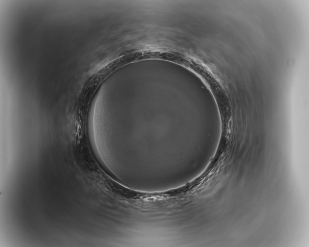 X0000096721303200802051434
