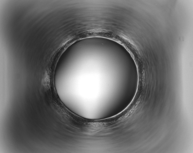 X0000096721305200802051434