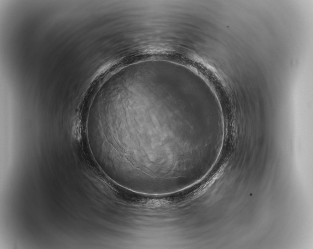 X0000096721306200802051434