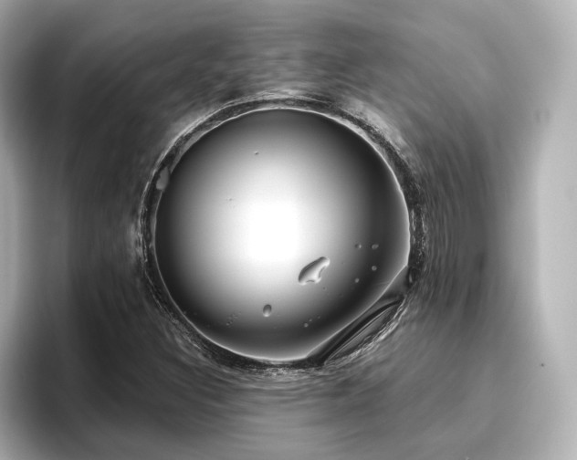 X0000096721308200802051434