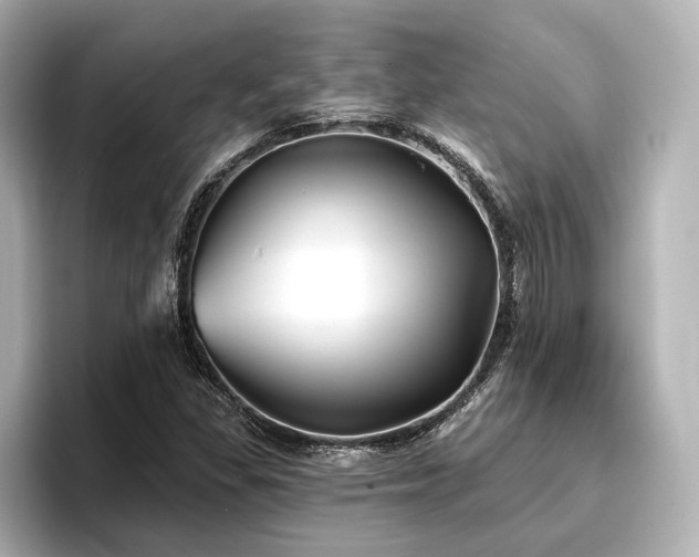 X0000096721309200802051434