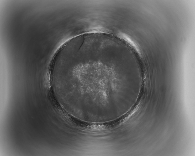 X0000096721310200802051434