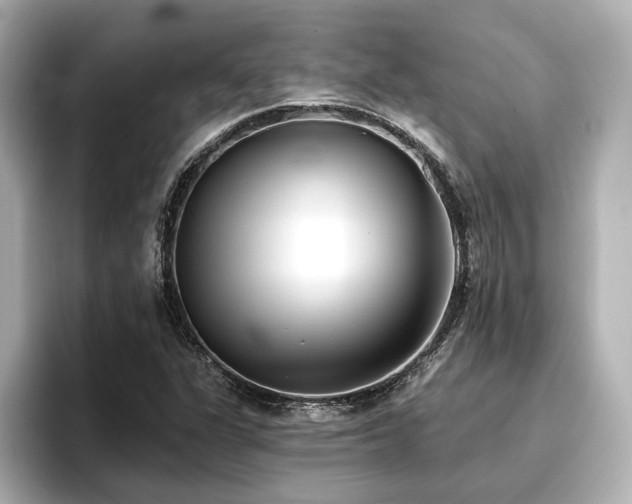 X0000096721311200802051434