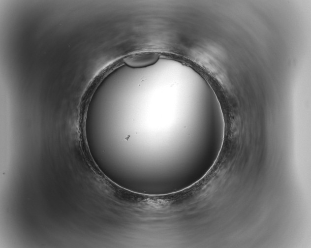 X0000096721312200802051434