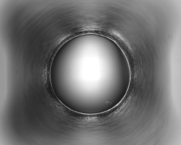 X0000096721313200802051434