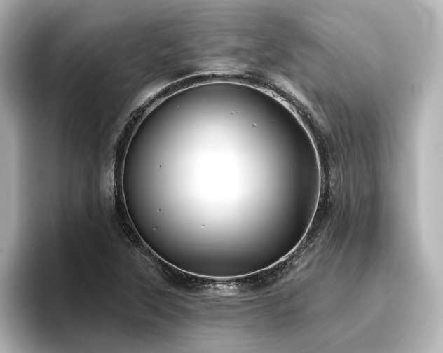 X0000096721315200802051434