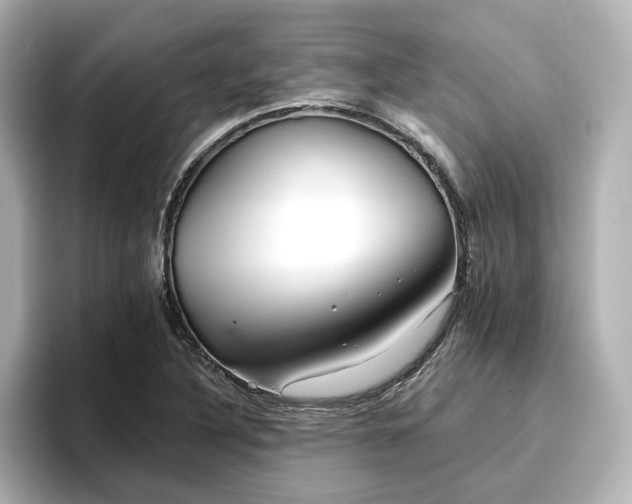 X0000096721316200802051434