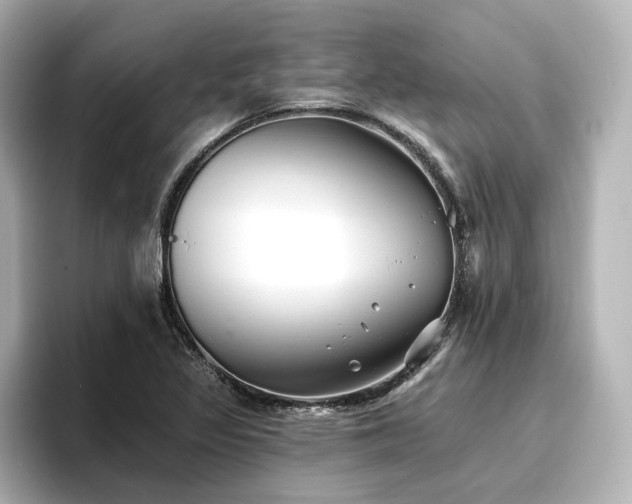 X0000096721317200802051434