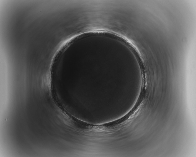 X0000096721319200802051434
