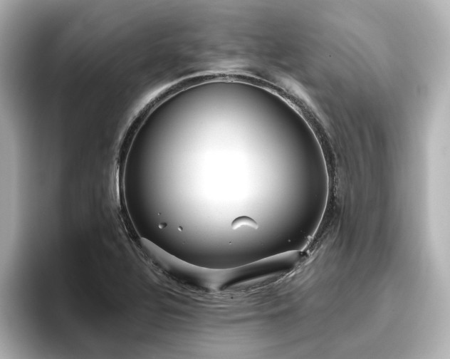 X0000096721320200802051434