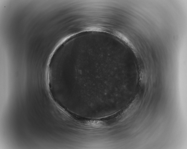 X0000096721323200802051434