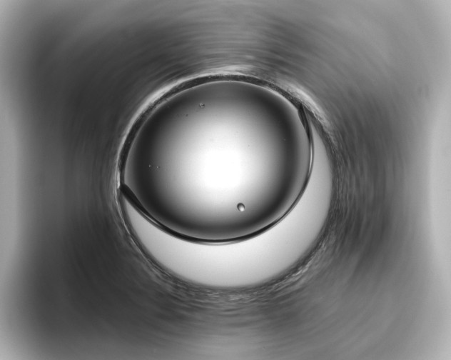 X0000096721324200802051434