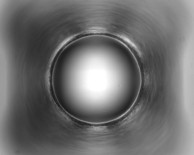 X0000096721325200802051434