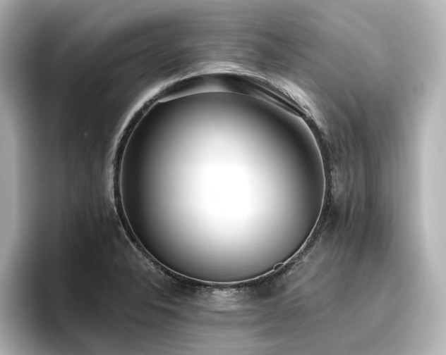 X0000096721326200802051434