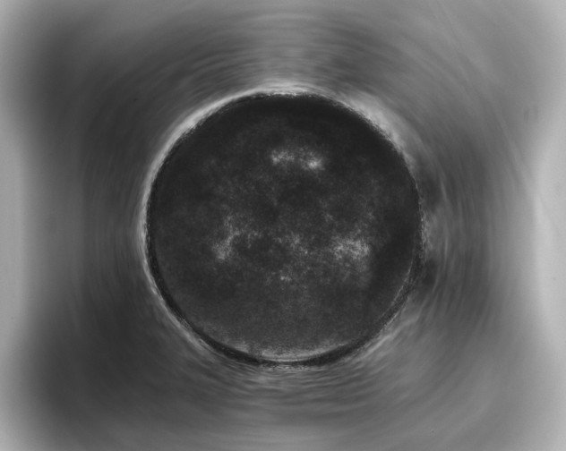 X0000096721327200802051434