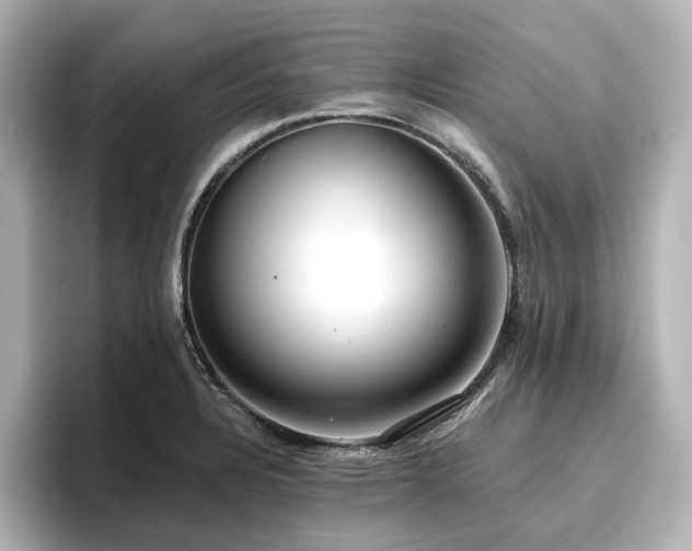 X0000096721328200802051434
