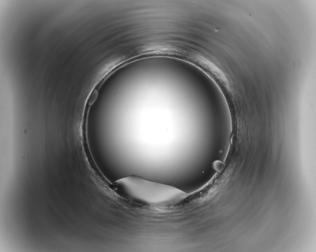 X0000096721330200802051434