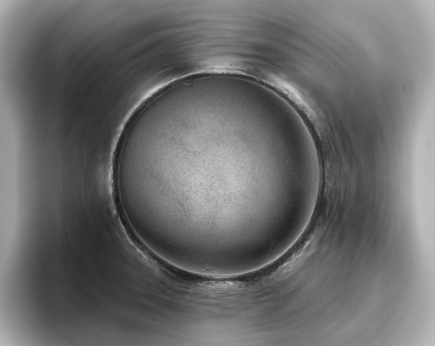 X0000096721331200802051434