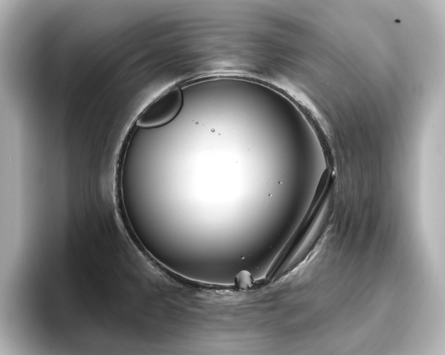 X0000096721333200802051434