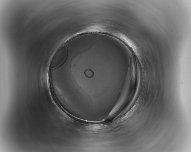 X0000096721334200802051434