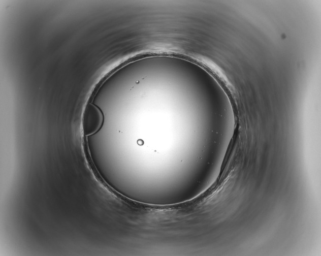 X0000096721335200802051434
