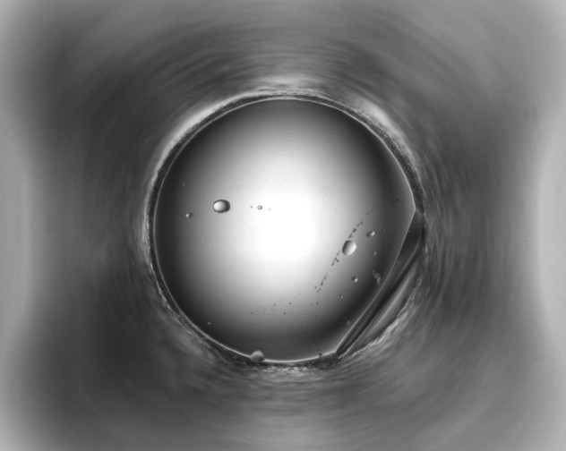 X0000096721336200802051434