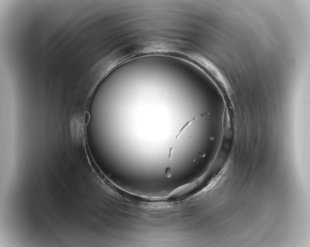 X0000096721337200802051434